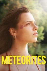 Les météorites (2019)