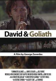 David and Goliath ()