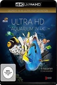 Aquarium 2016 streaming