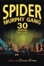 Spider Murphy Gang - 30 Jahre Rock'n'Roll series tv