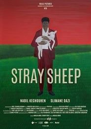 Stray Sheep series tv