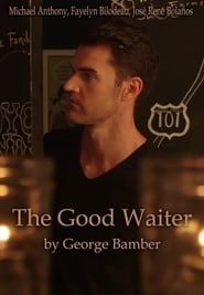The Good Waiter series tv