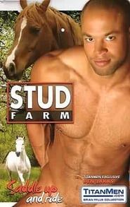 Stud Farm (2004)