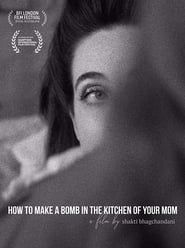 How to Make a Bomb in the Kitchen of Your Mom series tv