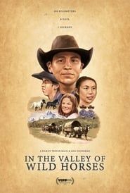 In the Valley Of Wild Horses series tv