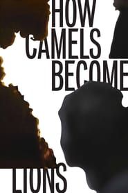 How Camels Become Lions 2017 streaming