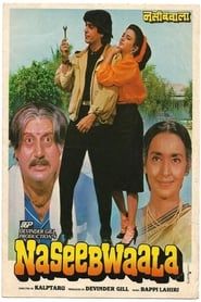 Naseebwala series tv
