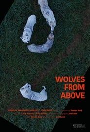 Image Wolves From Above