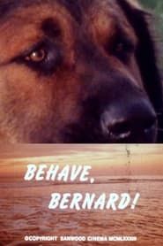 Behave, Bernard! series tv