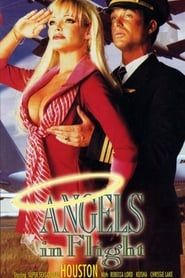 Image Angels in Flight