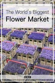 The World's Biggest Flower Market series tv