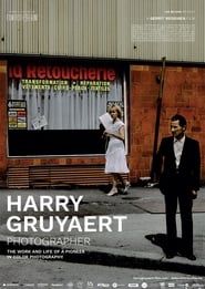 Harry Gruyaert. Photographer series tv
