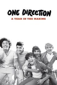 One Direction: A Year in the Making series tv