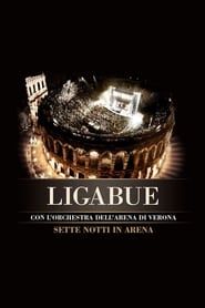 Image Ligabue: Sette notti in Arena