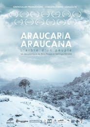 Araucaria Araucana-hd