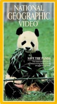 Save the Panda series tv
