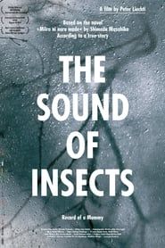 Image Le chant des insectes - Rapport d'une momie