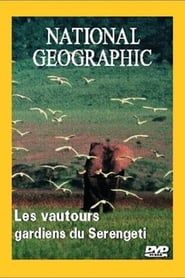 Image National Geographic : Les Vautours, gardiens du Serengeti