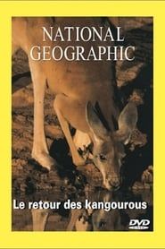 Image National Geographic Le Retour Du Kangourou