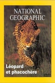 Image National Geographic Leopard et phacochere