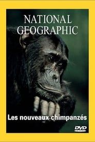 Image National Geographic Les nouveaux chimpanzes
