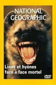 Image National Geographic : Lions et Hyènes, face à face mortel