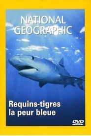 Image National Geographic : Requins-tigres, la peur bleue