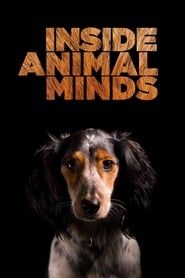 Inside Animal Minds series tv