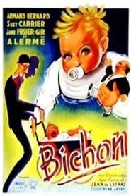 watch Bichon