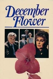 December Flower series tv