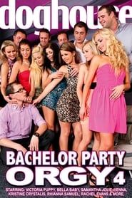 Image Bachelor Party Orgy 4