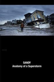Sandy: Anatomy of a Superstorm series tv