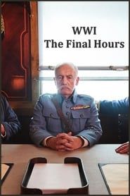 WWI: The Final Hours series tv