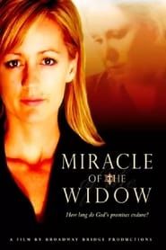 Image Miracle of the Widow