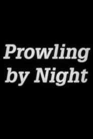 Prowling by Night series tv