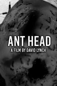 Ant Head series tv