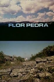 Flor Pedra (1975)