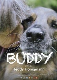 Buddy series tv
