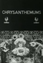 Les chrysanthèmes