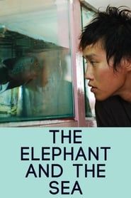 The Elephant and the Sea series tv