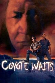 Coyote Waits series tv