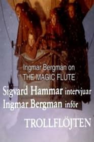 The Best Musical in the World: Ingmar Bergman on 'The Magic Flute' series tv