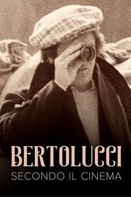 Image The Cinema According to Bertolucci 1976