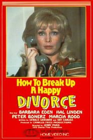 How to Break Up a Happy Divorce series tv