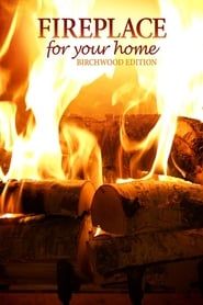 Image Fireplace for Your Home: Birchwood Edition