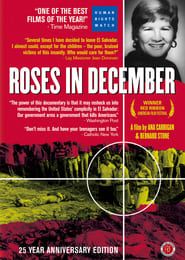 Image Roses in December