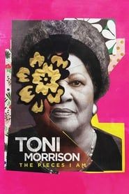 Image Toni Morrison : The Pieces I Am 2019