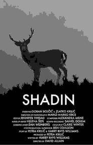 Affiche de Shadin