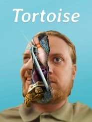 Tortoise (2018)