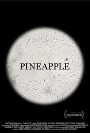 Pineapple-hd